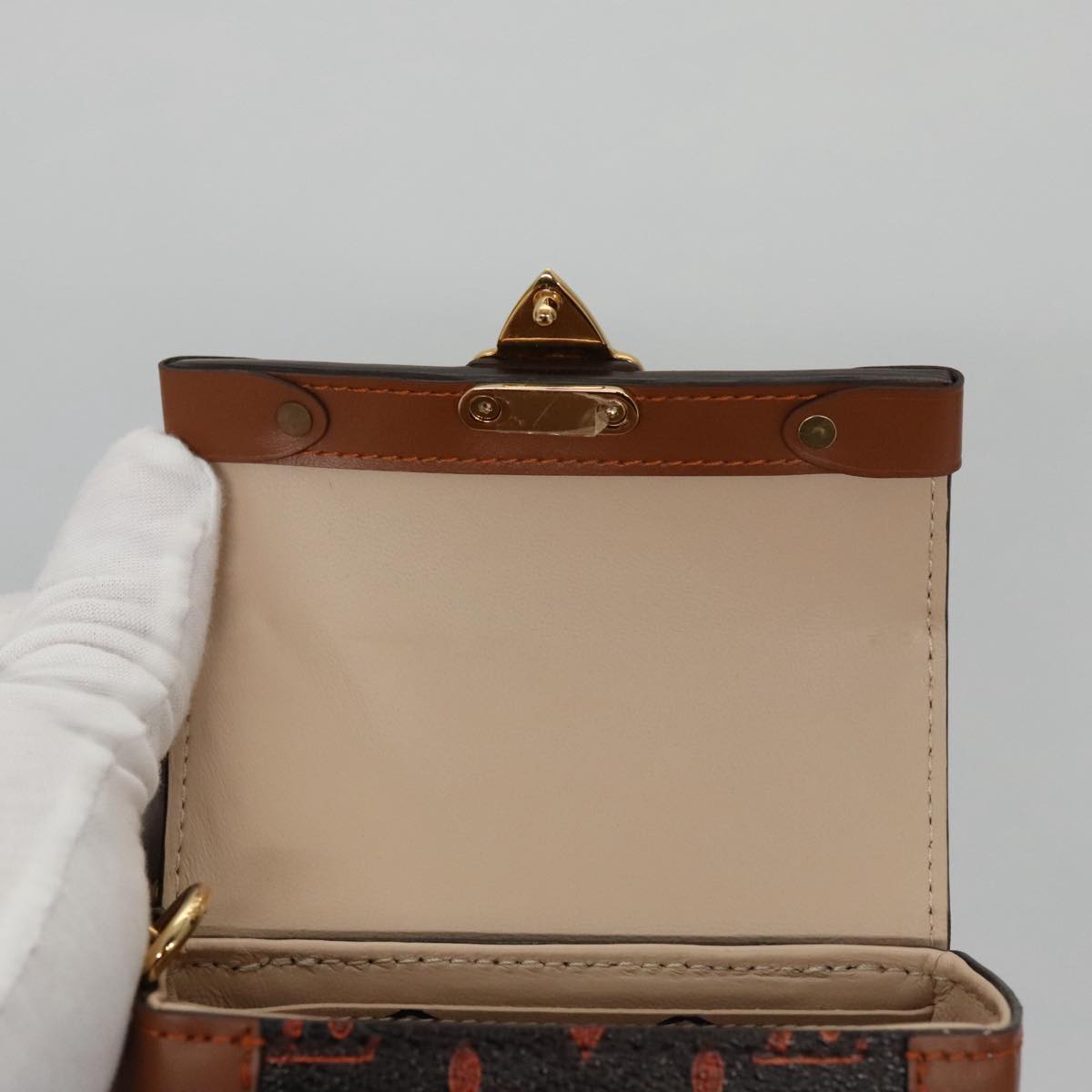 Louis Vuitton Monogram Catgram Essential Trunk Pouch M63892 LV