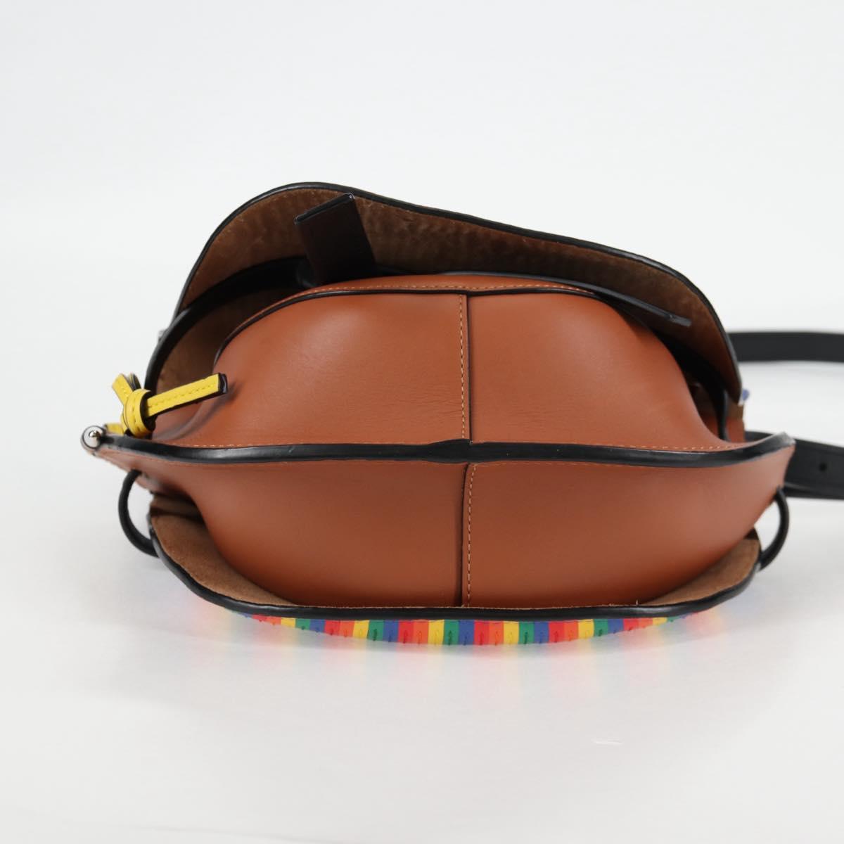 LOEWE Anagram Rainbow Gate Shoulder Bag Leather Brown