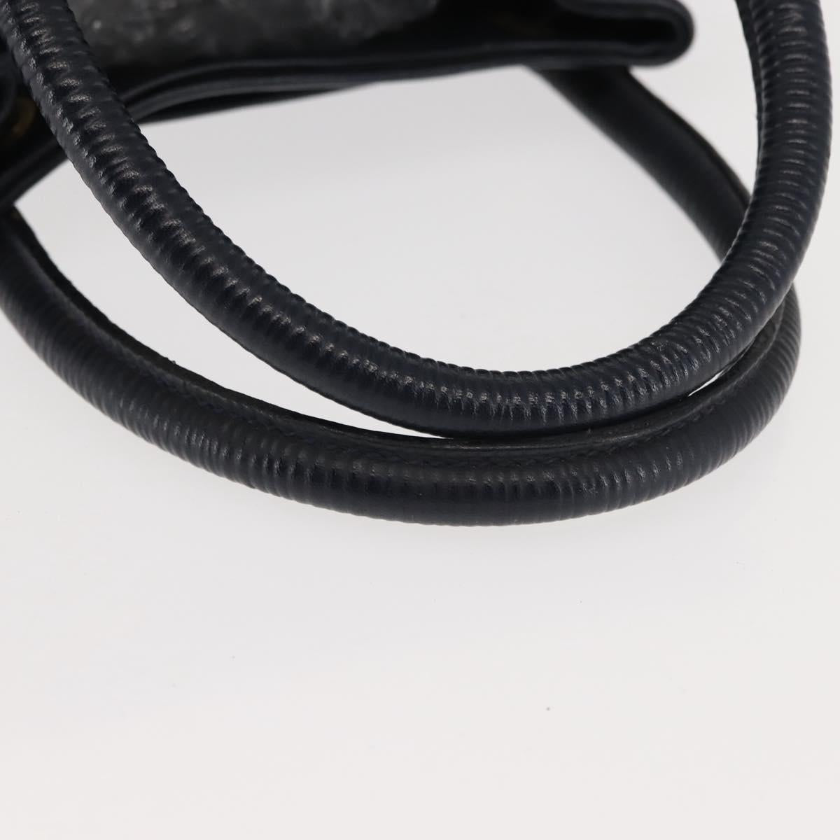 FENDI Pecan Canvas Hand Bag PVC Navy Gold