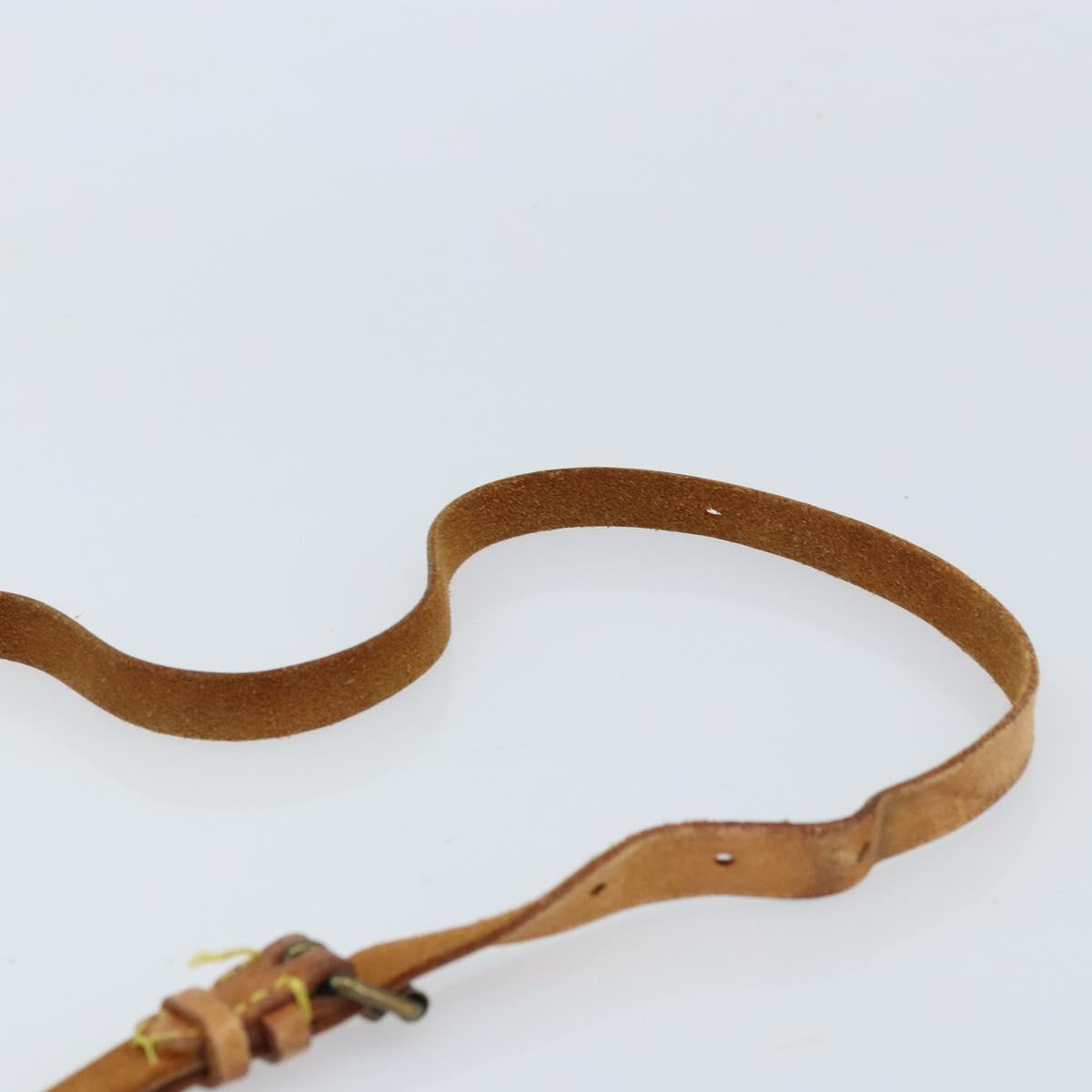 Louis Vuitton Monogram Cartouchiere PM Shoulder Bag M51254 LV