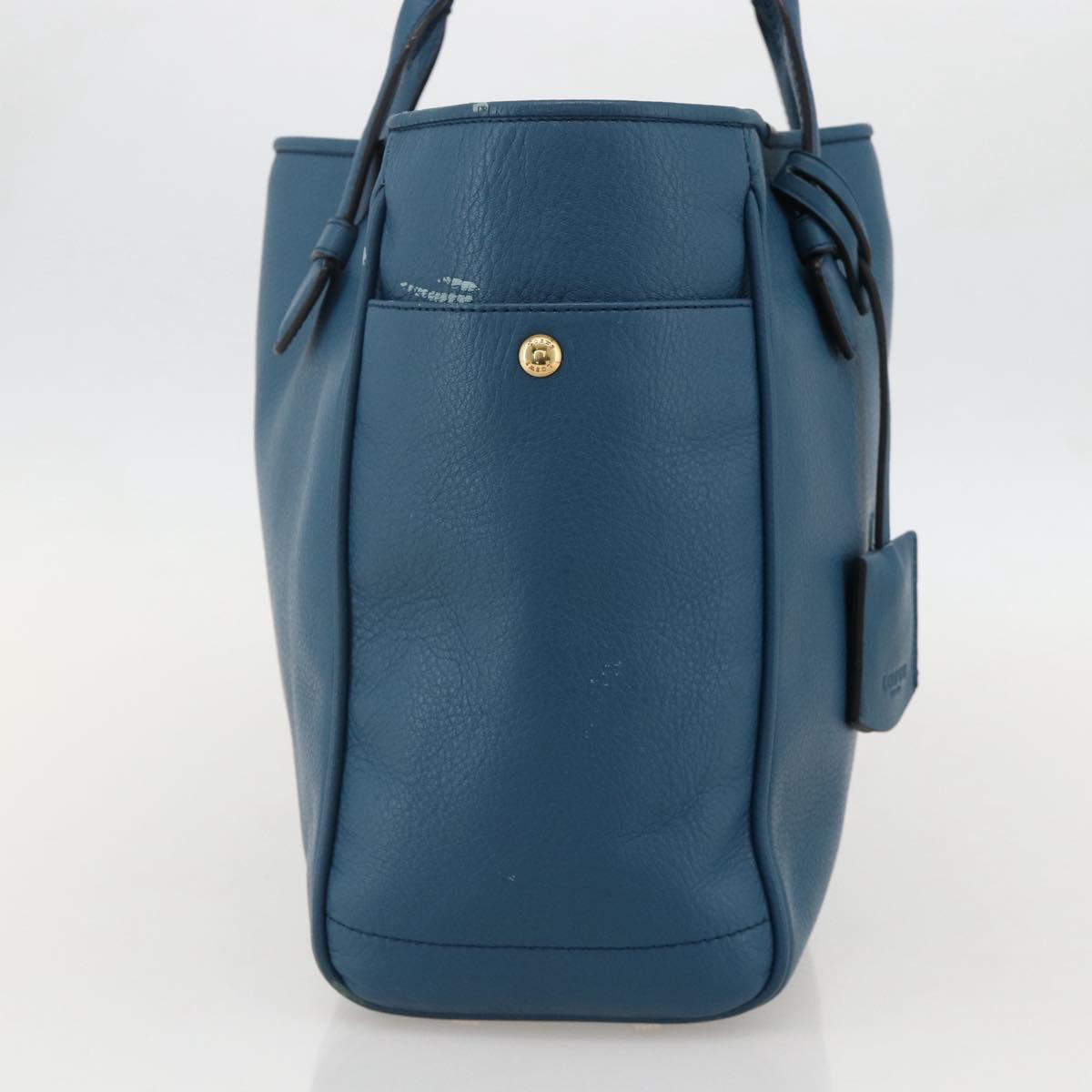 LOEWE Heritage Tote Bag Leather Gold Blue