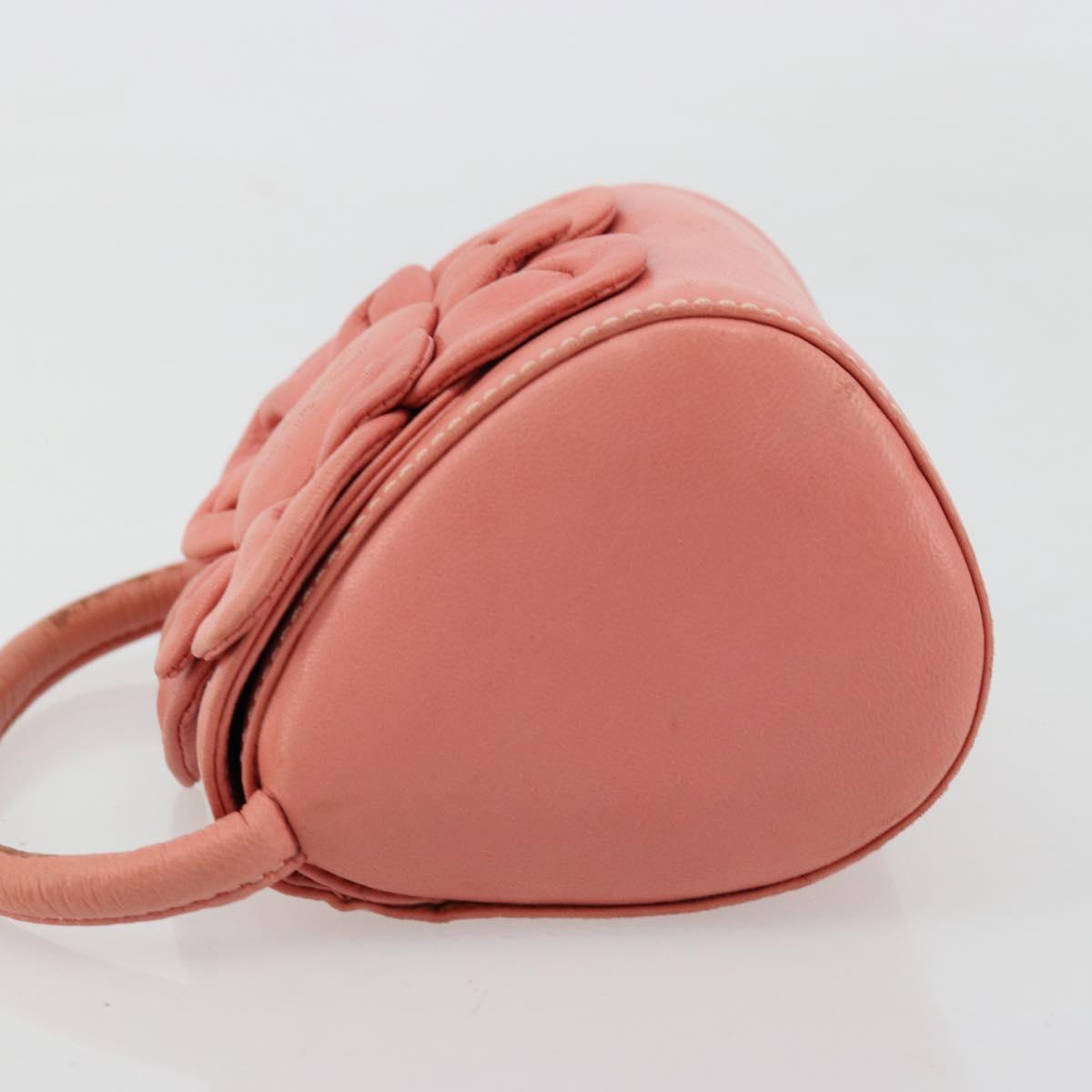 LOEWE Hand Bag Leather Pink Gold