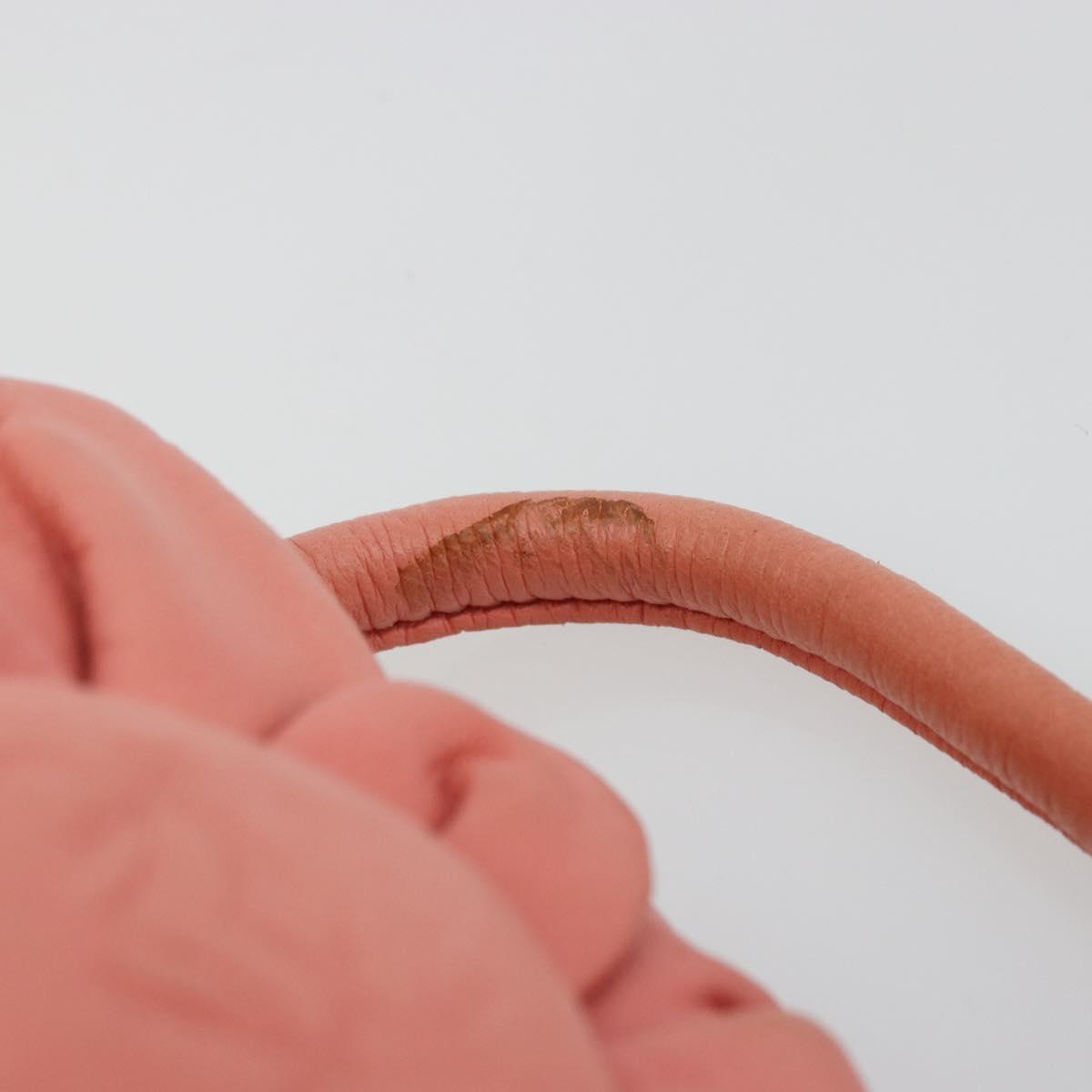 LOEWE Hand Bag Leather Pink Gold
