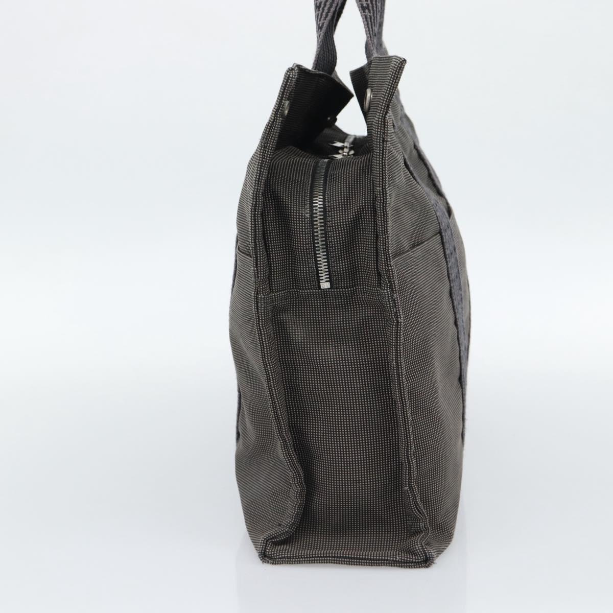 HERMES Her Line MM Hand Bag Canvas Gray Silver