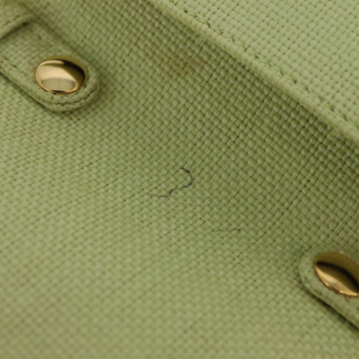 CELINE Star Ball Shoulder Bag Raffia Green Gold
