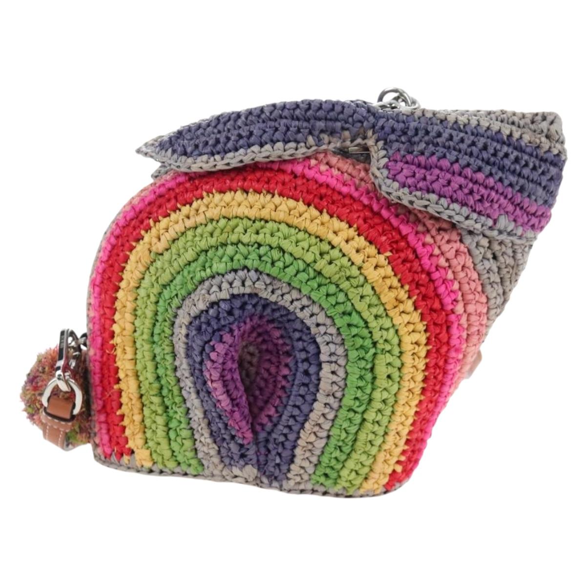 LOEWE Shoulder Bag Raffia Multicolor Silver