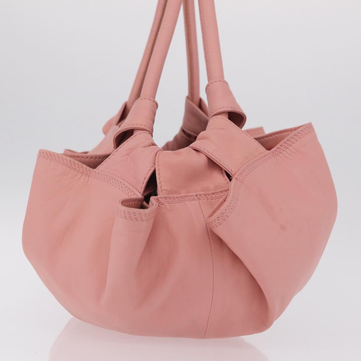 LOEWE Hand Bag Leather Pink Silver