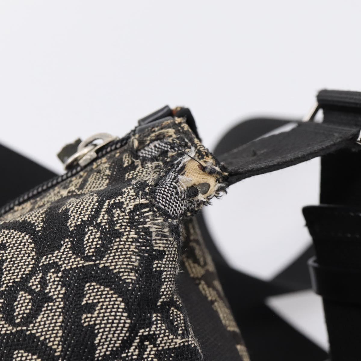 Christian Dior Trotter Canvas Shoulder Bag Gray Silver