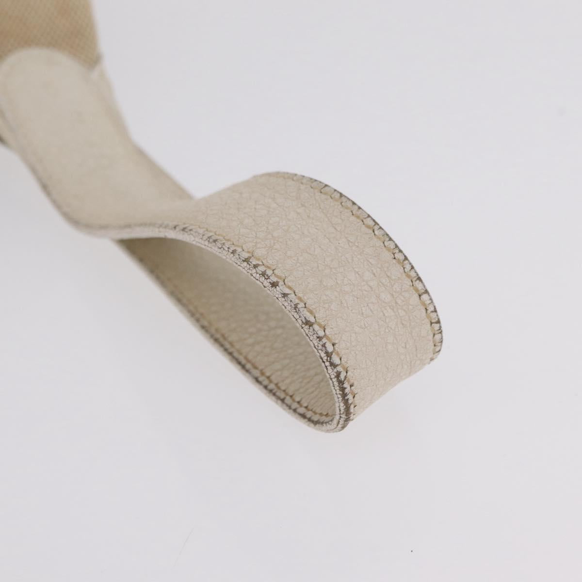 HERMES Picotan MM Hand Bag Canvas Beige Silver