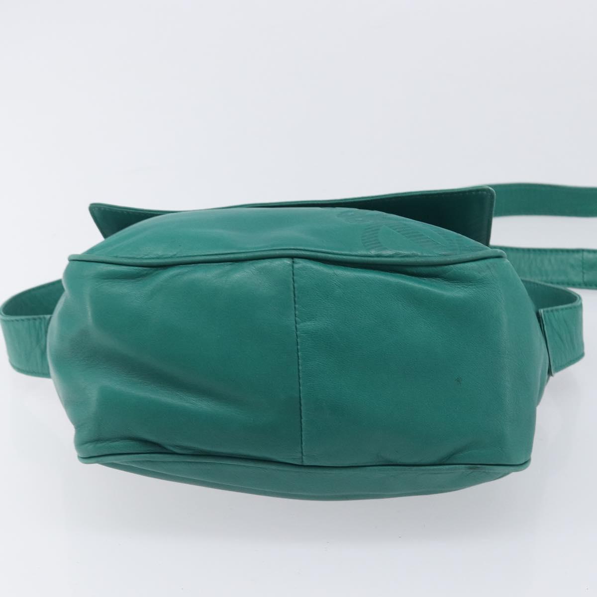 LOEWE Shoulder Bag Leather Green Gold