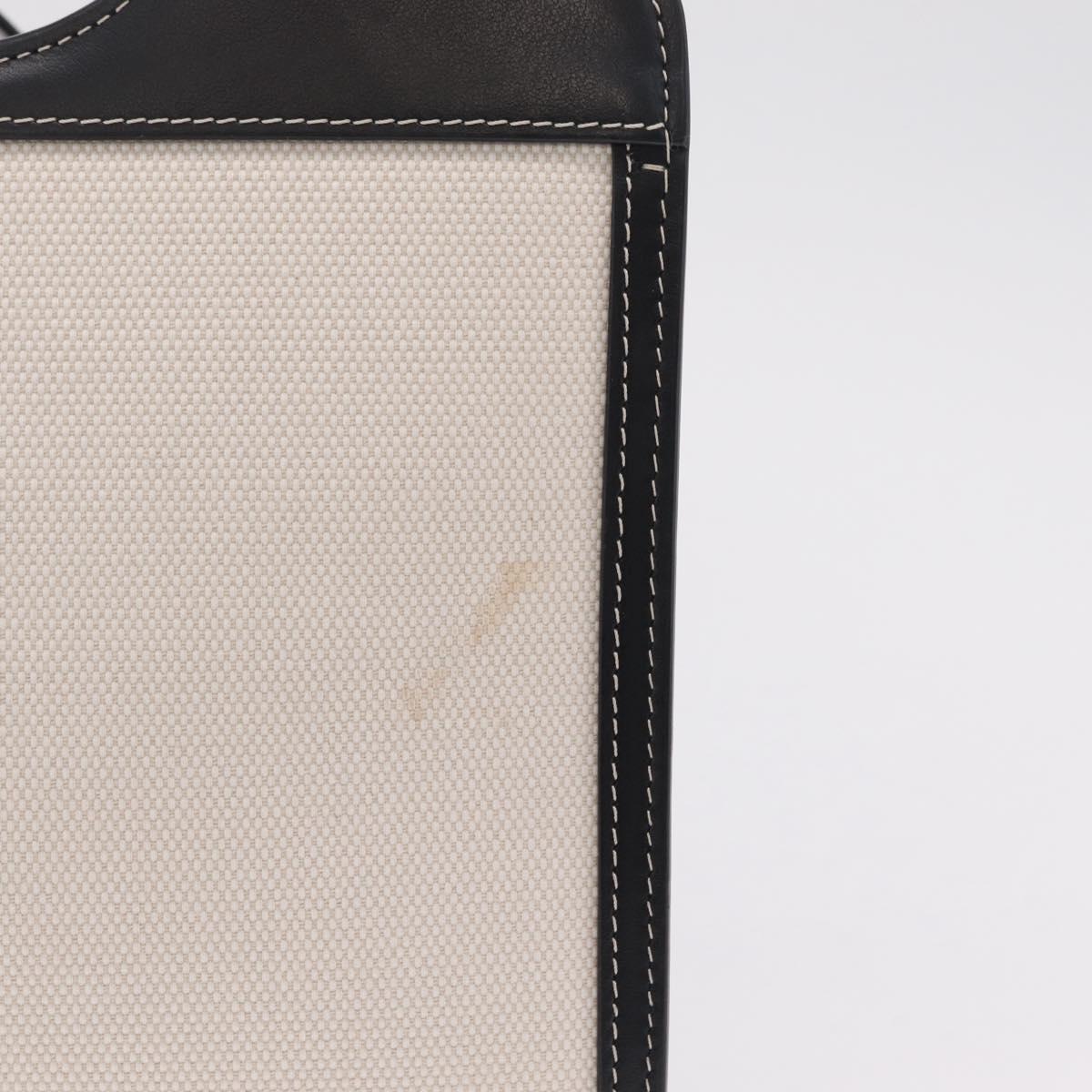BURBERRY Hand Bag Canvas 2way White Black