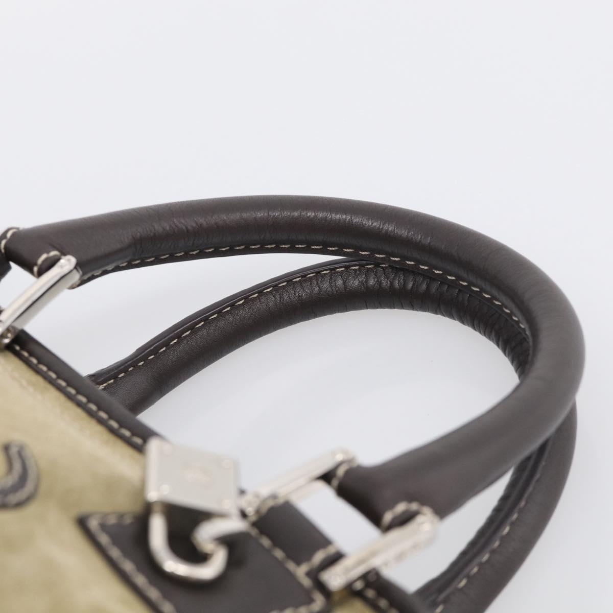 LOEWE Amazonas Hand Bag Suede Beige Silver