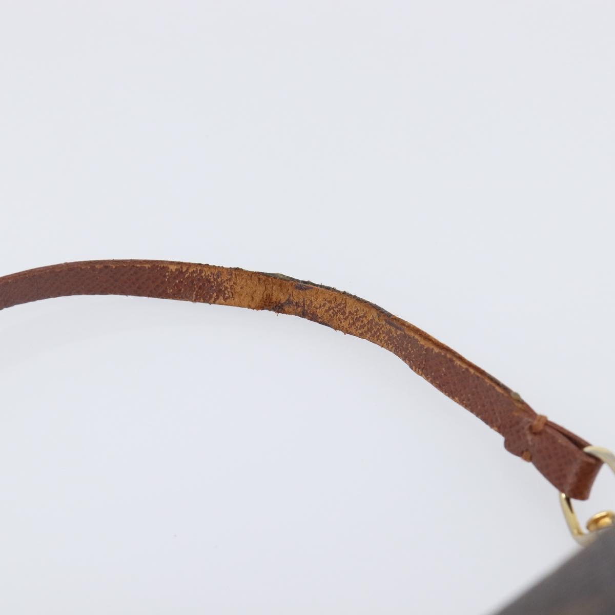 Louis Vuitton Monogram Papillon Pouch LV