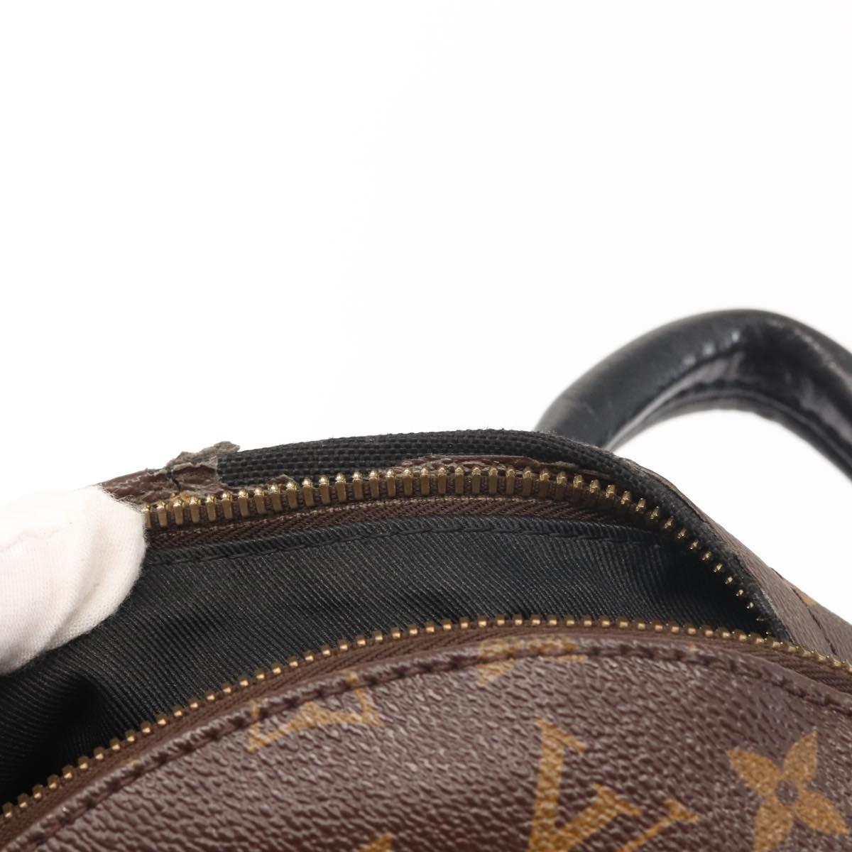Louis Vuitton Monogram Reverse Palm Springs PM Backpack M44870 LV