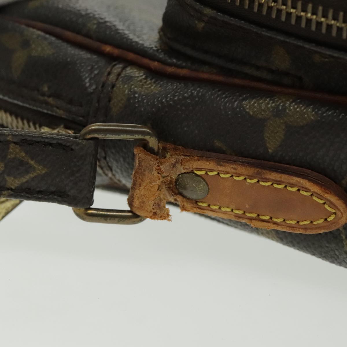 Louis Vuitton Monogram Amazon Shoulder Bag M45236 LV