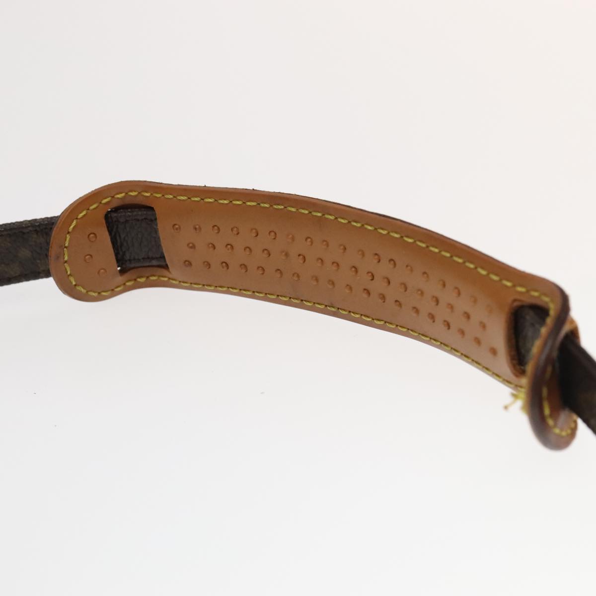 Louis Vuitton Monogram Mini Amazon Shoulder Bag M45238 LV