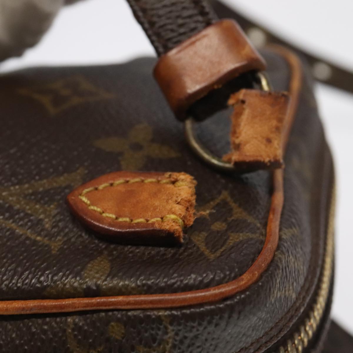 Louis Vuitton Monogram Mini Amazon Shoulder Bag M45238 LV