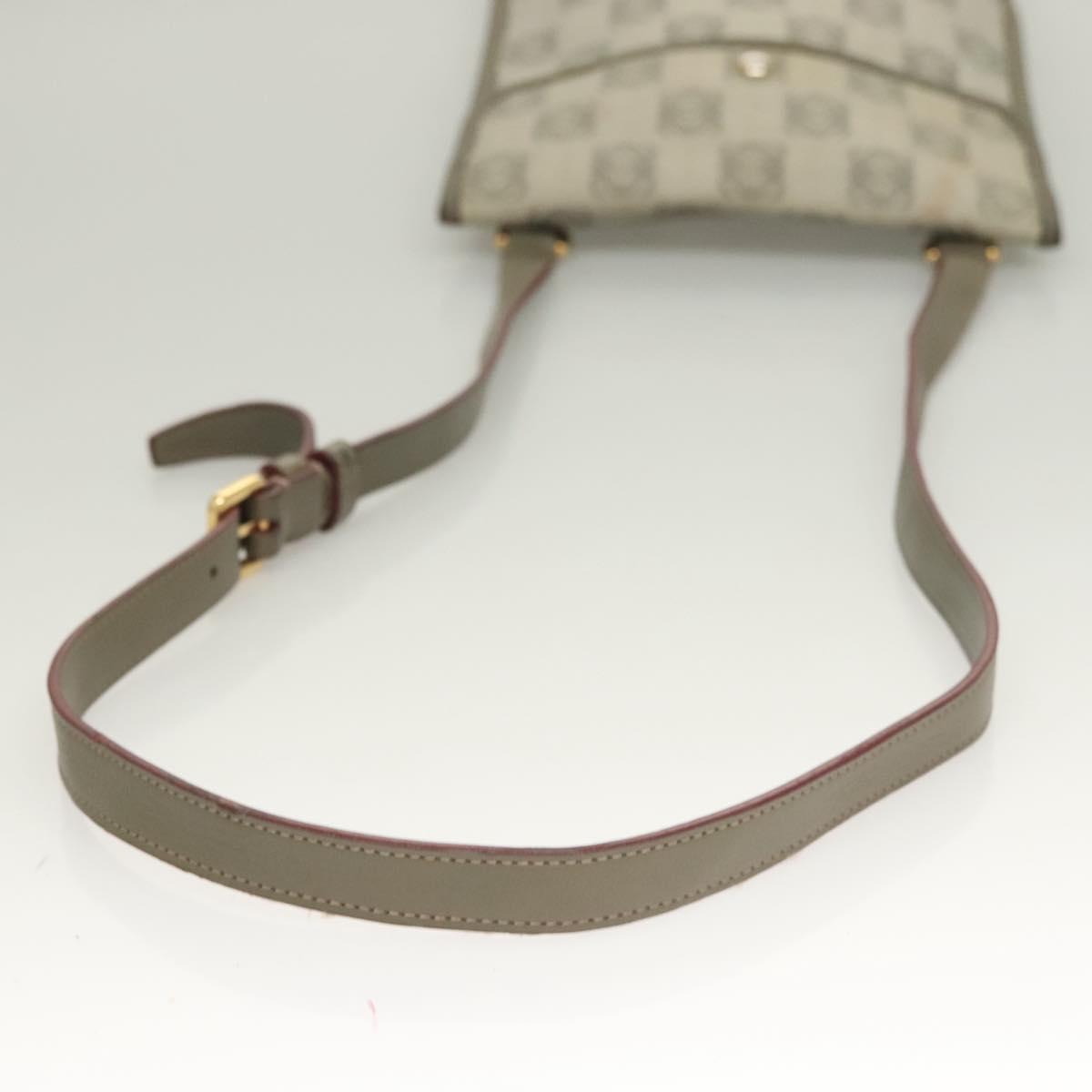LOEWE Anagram Shoulder Bag PVC Gray Gold