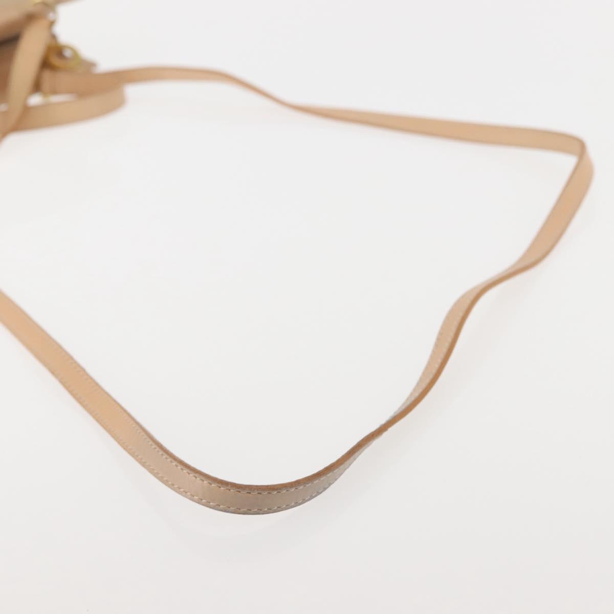 CELINE Shoulder Bag Suede Leather 2way Beige Gold