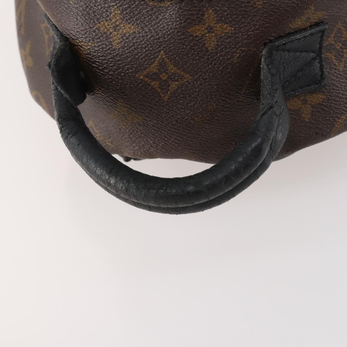 Louis Vuitton Monogram Reverse Palm Springs PM Backpack M43116 LV