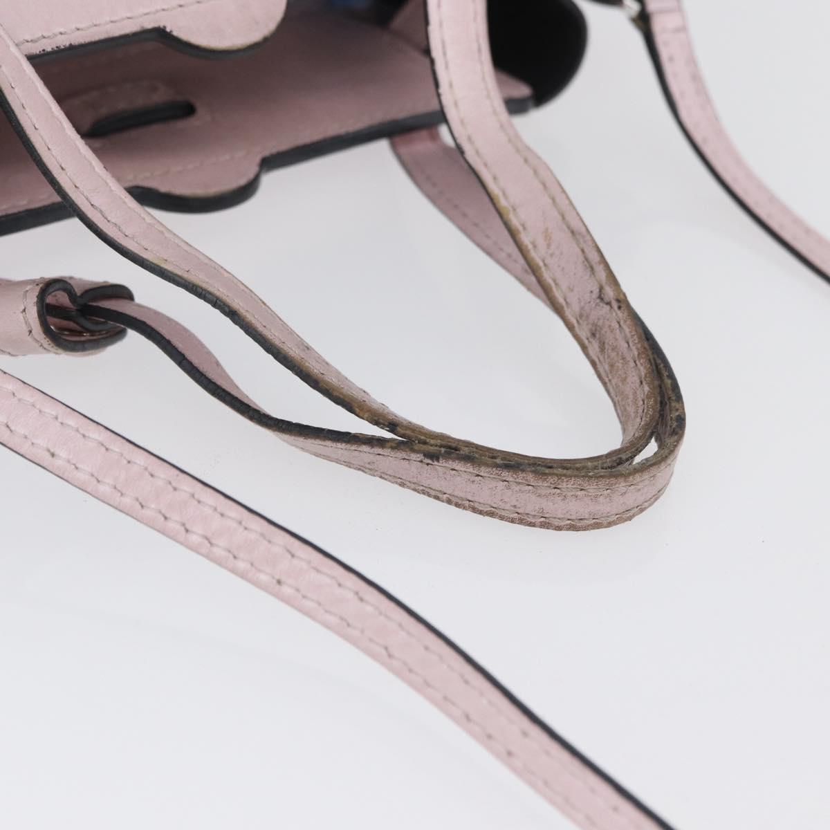 LOEWE Shoulder Bag Leather Pink Silver