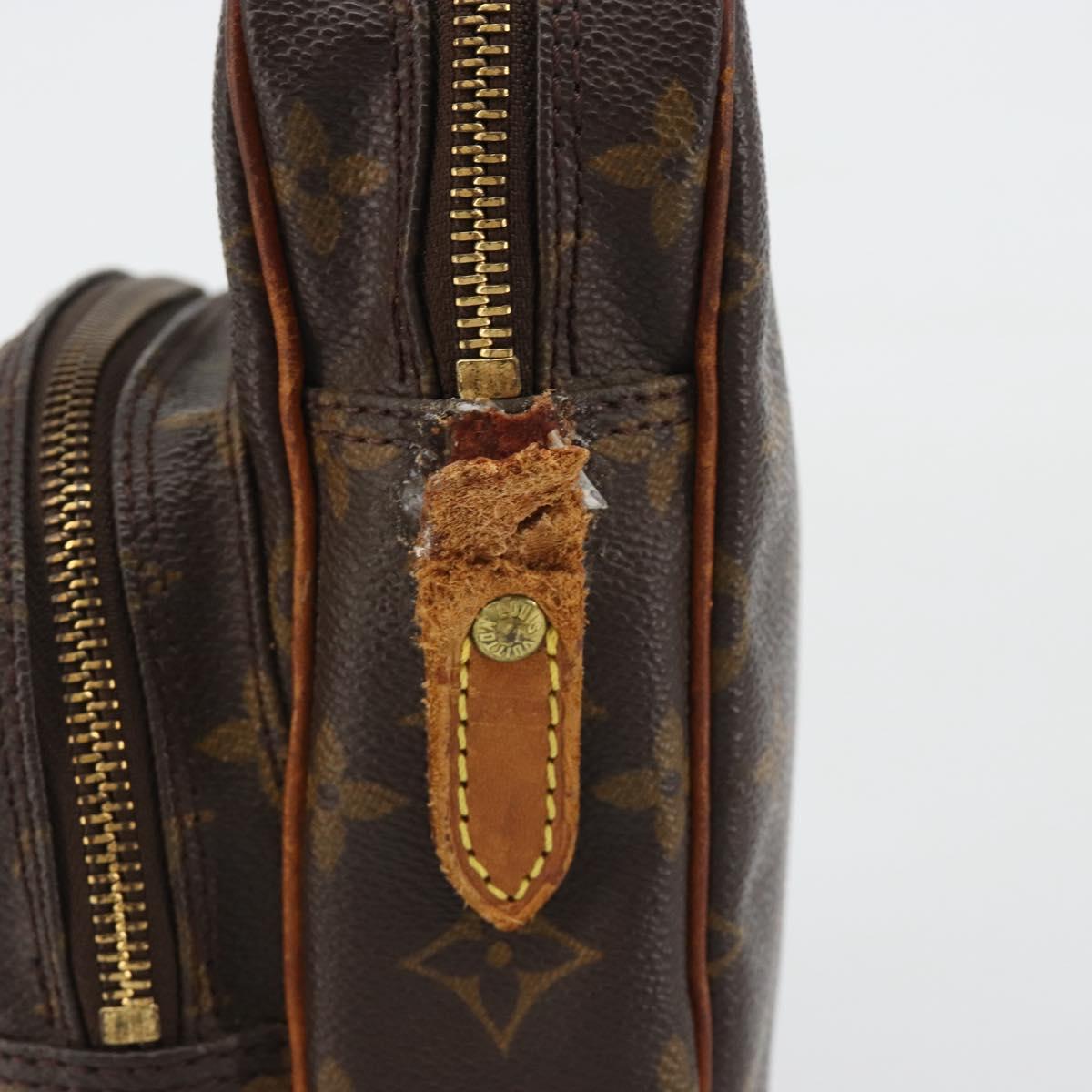Louis Vuitton Monogram Amazon Shoulder Bag M45236 LV