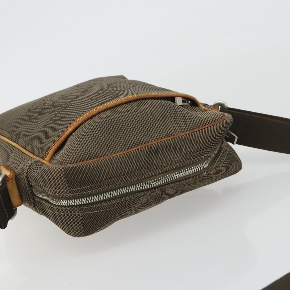 Louis Vuitton Damier Geant Sitadan Shoulder Bag Tail M93041 LV