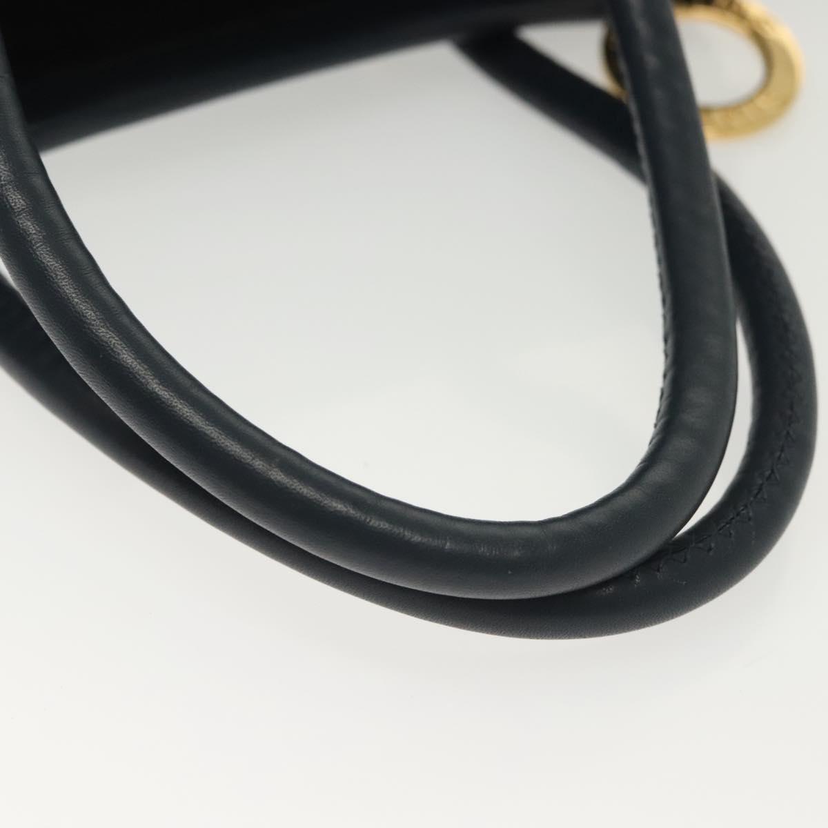 CELINE Hand Bag Nylon Navy Gold