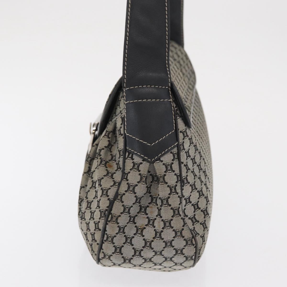 CELINE Macadam Canvas Hand Bag Beige Silver