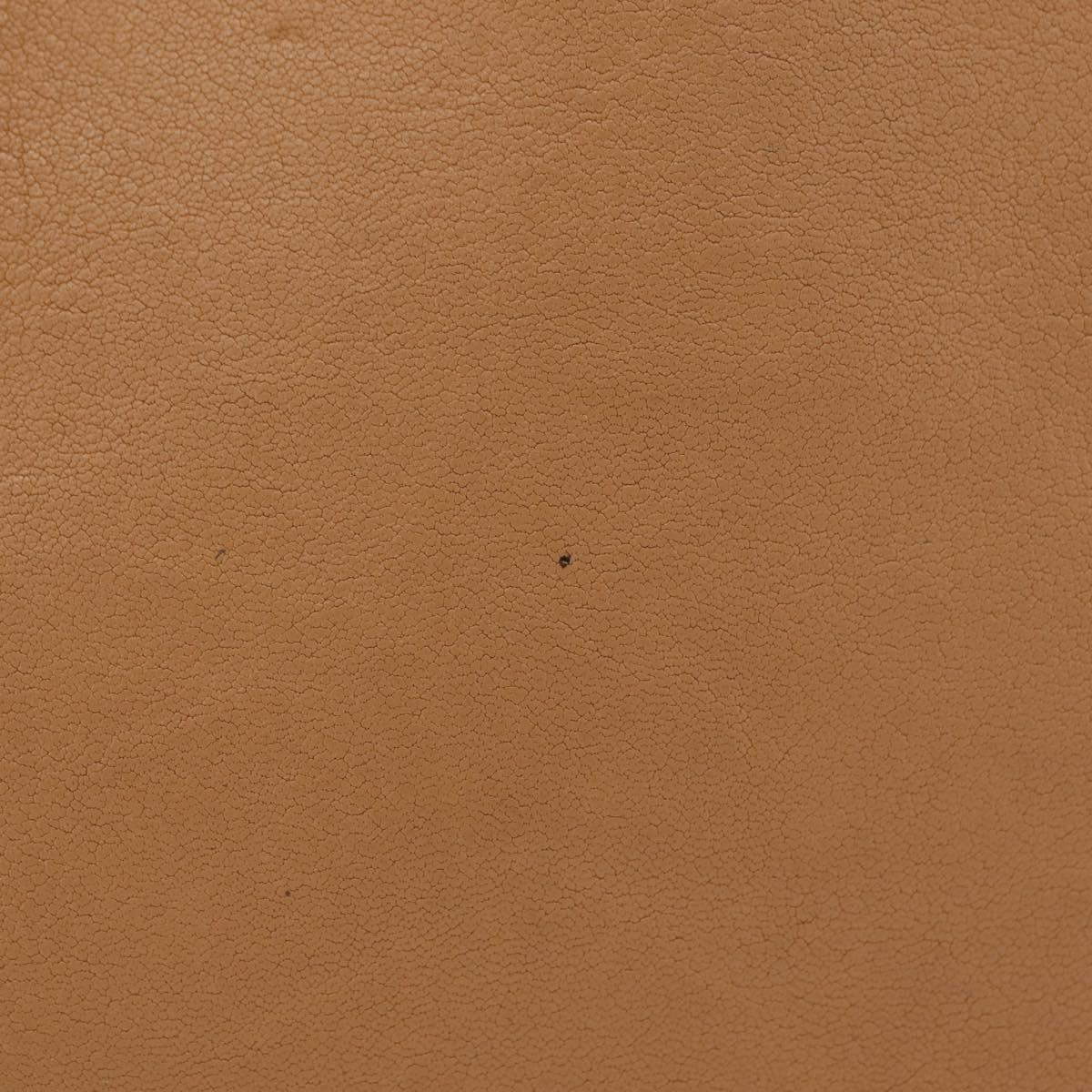 Chloe Alison Tote Bag Leather Beige Gold