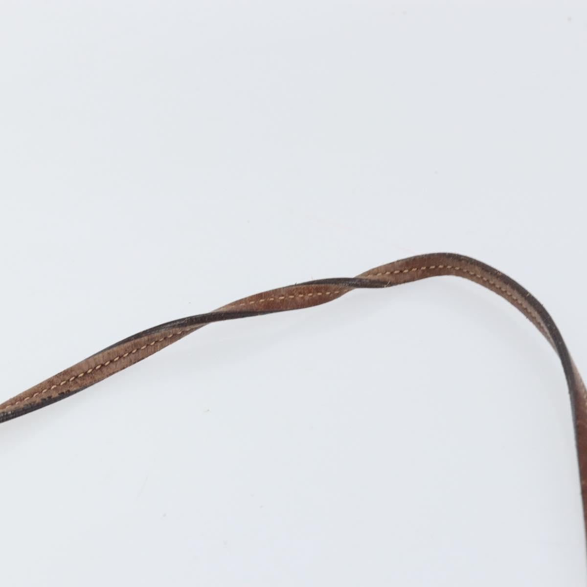 PRADA Shoulder Bag Canvas Dark Brown gold